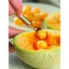 Meloenlepel PROFI PLUS 2,5 cm, WMF