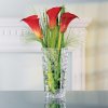 Vaas BOSSA NOVA 28 cm, smal, glas, Nachtmann