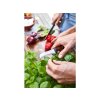 Groentemes URBAN FARMER 8 cm, houten handvat, Wüsthof