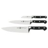 Messenset PROFESSIONAL "S", 3-delig, Zwilling