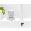 Afwasborstel, met dispenser, lichtgrijs, Brabantia