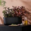 Zelfwatergevende bloempot 31 cm, zwart, keramiek, Eva Solo