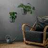 Gieter GLOBE 2,5 l, donkergrijs, Eva Solo
