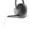 Gieter GLOBE 2,5 l, donkergrijs, Eva Solo