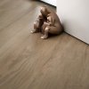 Deurstopper DEDE, 2 kg, bruin metaal, Alessi