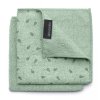 Microvezeldoek, set van 2 stuks, groen, Brabantia