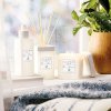 Interieurspray RAIN 148 ml, Clean