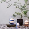 Draagbare tafellamp SOFT SPOT 18,5 cm, LED, hemelsblauw, Rosendahl