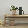 Gieter BLOOM 2 l, dennengroen, roestvrij staal, Stelton