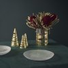 212130 1 servirovaci talir a family 22 cm cira sklo stelton