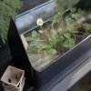 218093 3 kvetinac simply grow 42 x 32 cm cerna ocel eva solo