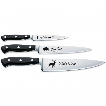 Кухненски ножове PREMIER PLUS, комплект 3 бр., неръждаема стомана, F.DICK