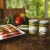228084 1 tomates 1 carre web 1024x1024