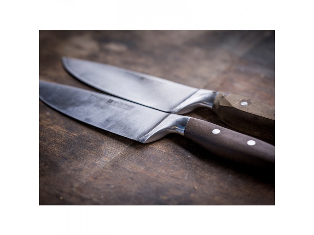 Meat Knife Set 4pcs. with Sharpening Steel - Germany Solingen