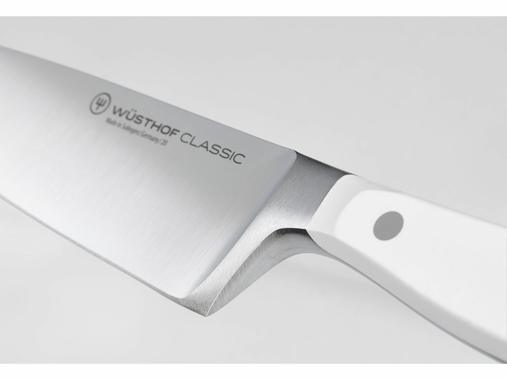 WUSTHOF Classic Professional Kitchen-Butcher Knives -High Carbon Stainless  Steel