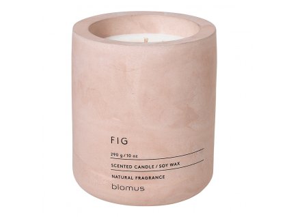 Scented candle FRAGA ⌀ 9 cm, Fig, Blomus