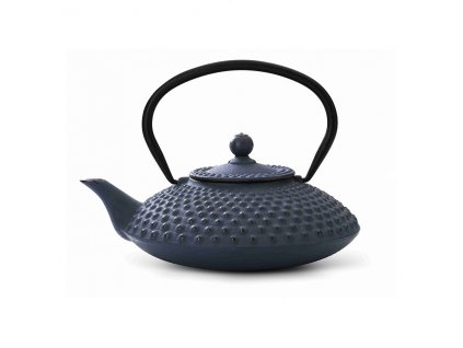 Teapot XILIN 800 ml, blue, cast iron, Bredemeijer