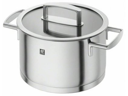 Pot VITALITY 20 cm, 3,5 l, with lid, Zwilling