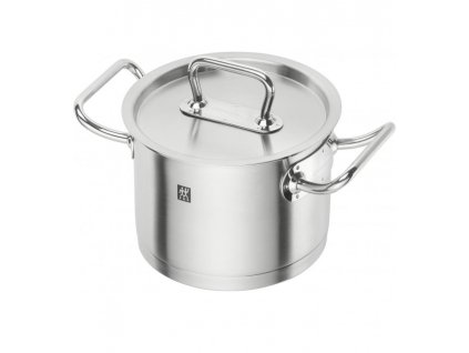 Tall stockpot PROFESSIONAL "S" 24 cm, 8 l, with lid, Zwilling