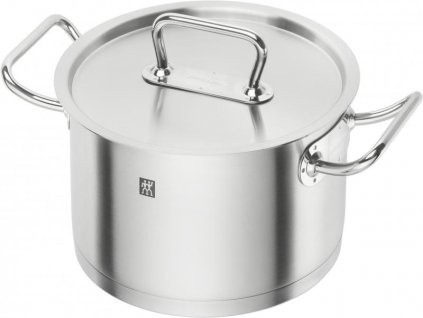 Tall stockpot PROFESSIONAL "S" 20 cm, with lid, Zwilling
