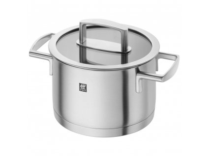 Pot VITALITY 16 cm, with lid, Zwilling