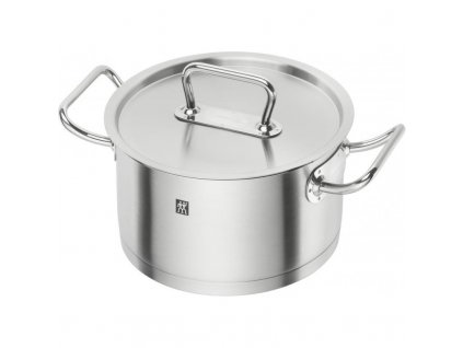 Casserole pot PROFESSIONAL "S" 20 cm, with lid, Zwilling
