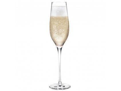 Champagne glass CABERNET, set of 6 pcs, 290 ml, Holmegaard