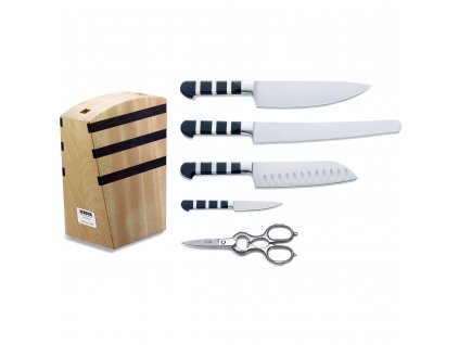 Kitchen knives 1905 with magnetic block, set of 5, stainless steel, F.DICK