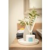 Home fragrance diffuser AQUA VIVA, Max Benjamin