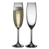 Champagne glass 220 ml, set of 2 pcs, Bitz