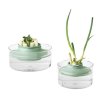 Accessories for growing herbs and vegetables REGROW KIT, Brabantia