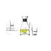 Water carafe in a set, 5 pcs, Eva Solo