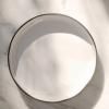 Dinner plate CARACTERE GOURMET, White Cumulus, REVOL