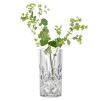 228792 3 vaza noblesse 23 cm sklo nachtmann