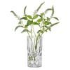 228792 4 vaza noblesse 23 cm sklo nachtmann