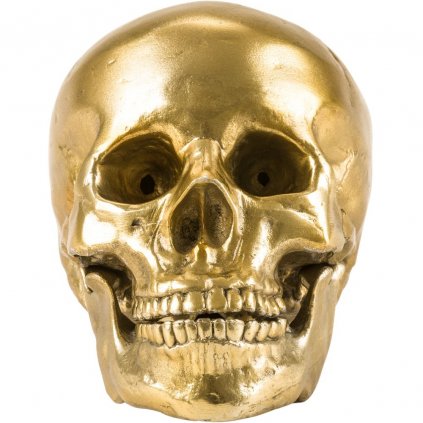 Hliníková figurka WUNDERKAMMER HUMAN SKULL Seletti 20 cm zlatá