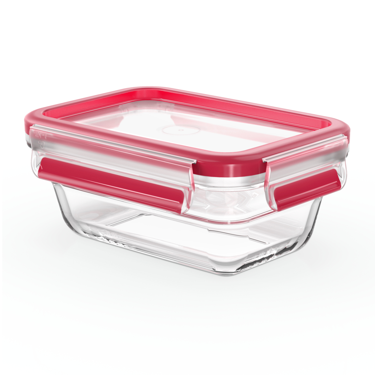 Dóza na potraviny  MASTER SEAL GLASS N1040510 450 ml, Tefal