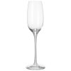 Champagneglas FONTAINE 210 ml, Holmegaard