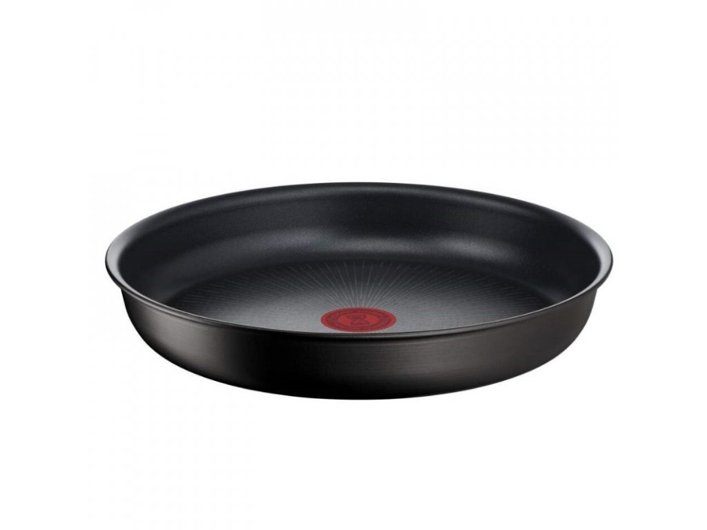 Tefal Ingenio Daily Chef ON - Juego de ollas y sartenes, 10 piezas,  apilables, mango extraíble, ahorro de espacio, antiadherente, inducción,  gris