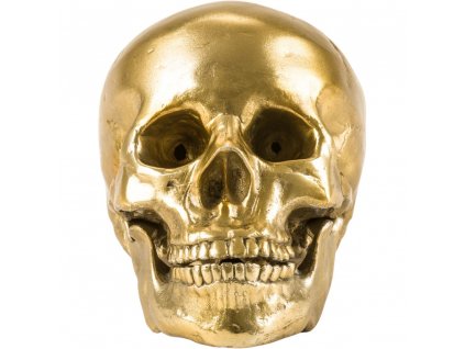 Figurilla WUNDERKAMMER HUMAN SKULL 20 cm, plata, aluminio, Seletti