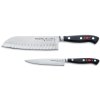 Cuchillos de cocina PREMIER PLUS, juego de 2, acero inoxidable, F.DICK