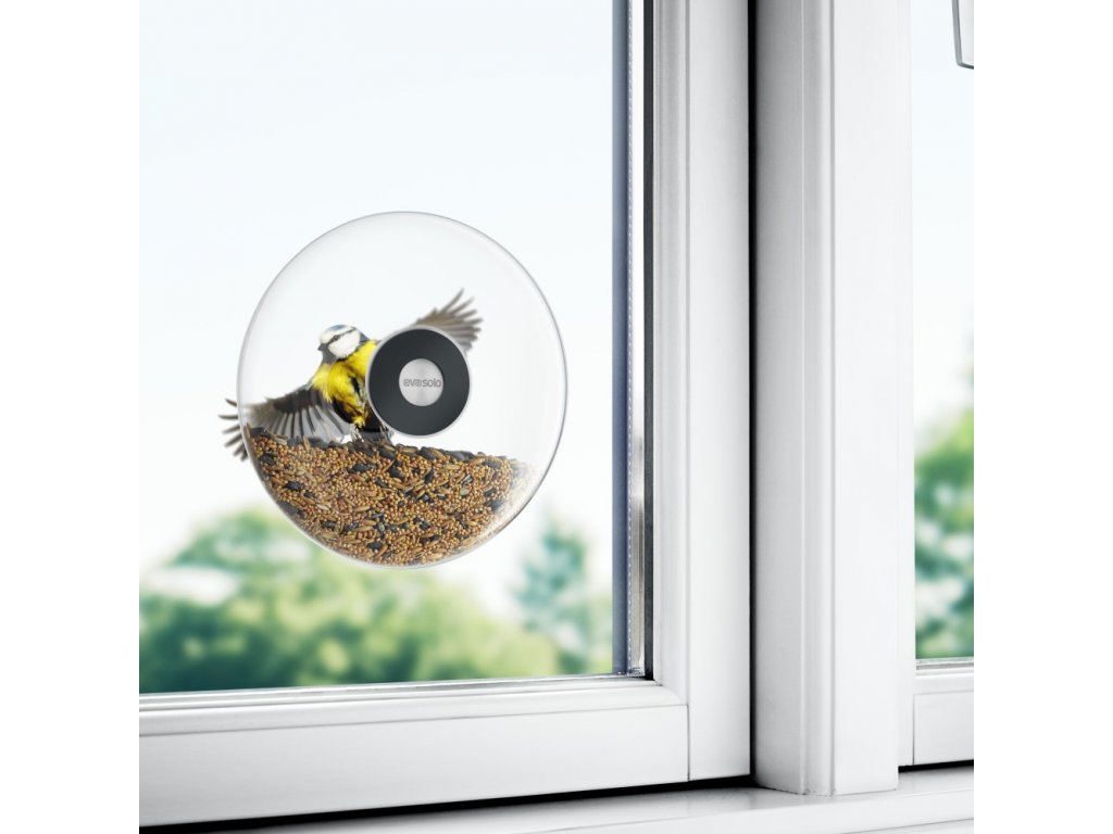 Mangeoire à oiseaux montée sur fenêtre en gros