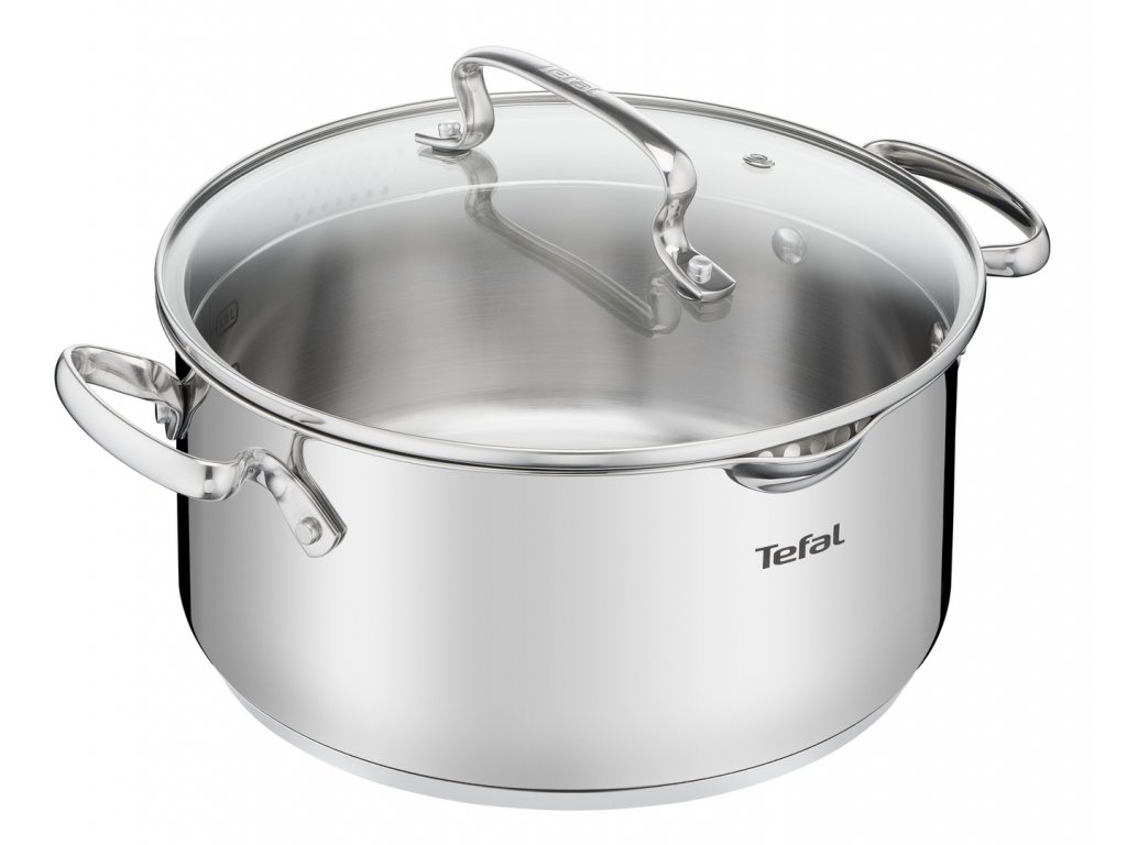 TEFAL Ingenio L9936582 Couvercle en verre 24 cm, Design plat