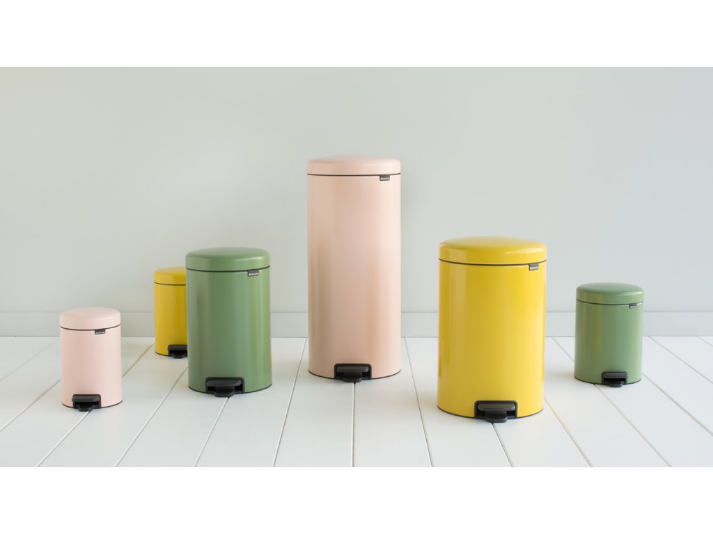 https://cdn.myshoptet.com/usr/www.kulina.fr/user/shop/big/328906_poubelle-a-pedale-newicon-20-l--rouge--brabantia.jpg?63631050