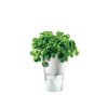 Pot de fleur auto arrosant 11 cm, blanc, Eva Solo