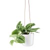 Auto-arrosage suspendu pot de fleur crayeux O blanc 15 cm Eva Solo