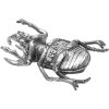 Figurine WUNDERKAMMER BUG OUT 14 cm, argent, aluminium, Seletti