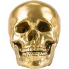 Figurine WUNDERKAMMER HUMAN SKULL 20 cm, argent, aluminium, Seletti