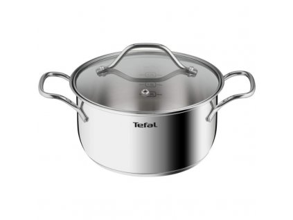 Δοχείο για βράσιμο INTUITION B8644474 Tefal 20 εκ