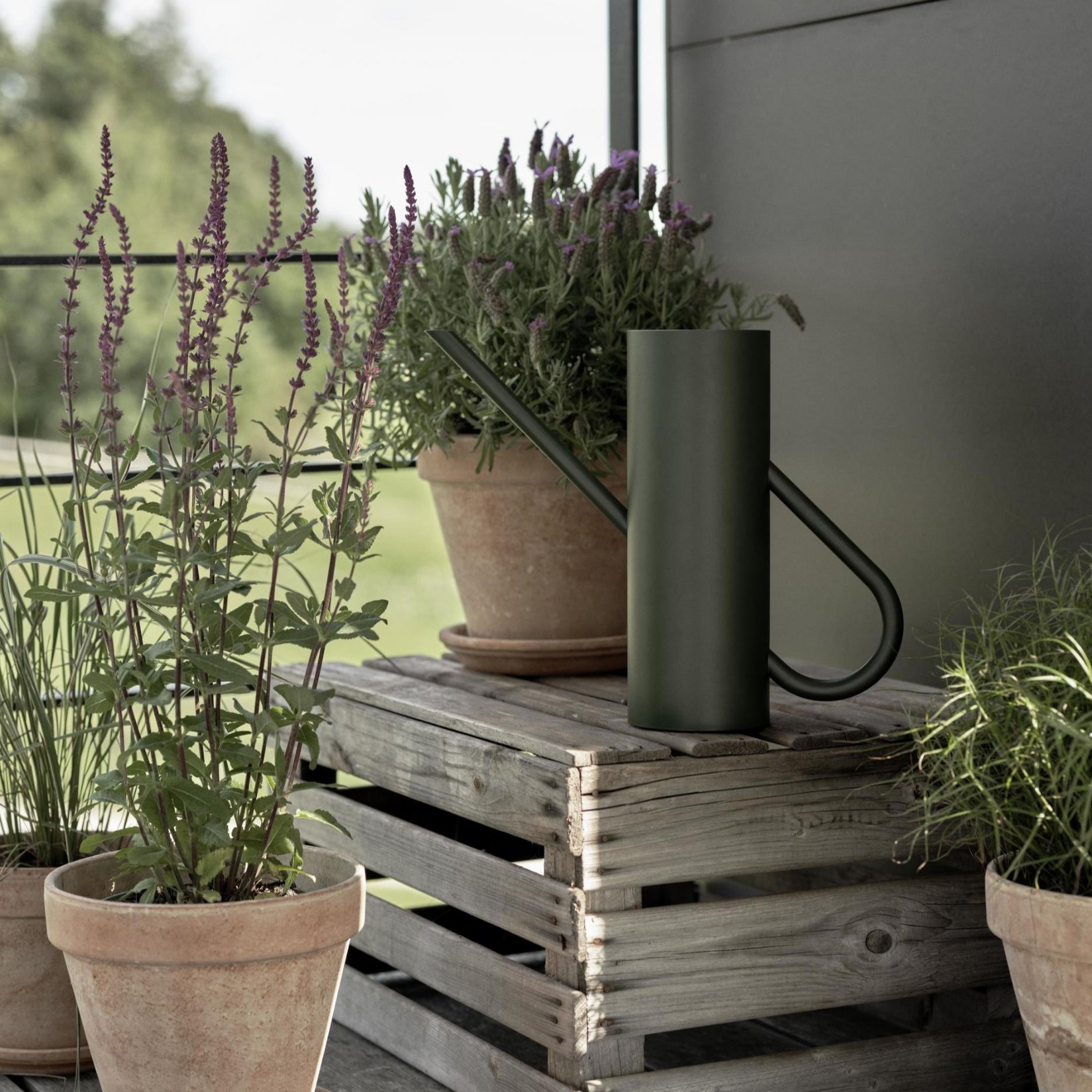 Ποτιστήρι BLOOM 2 l, απόχρωση πεύκου, ανοξείδωτο, Stelton